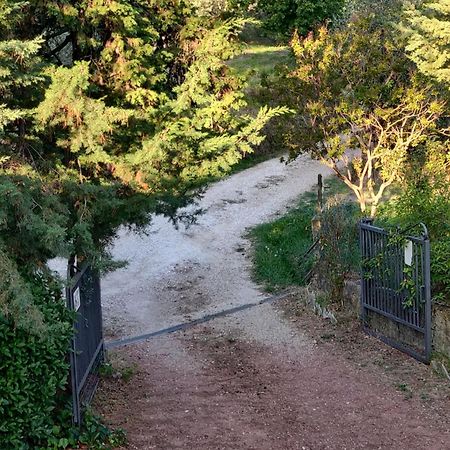 Il Rusticano Chianni Kültér fotó