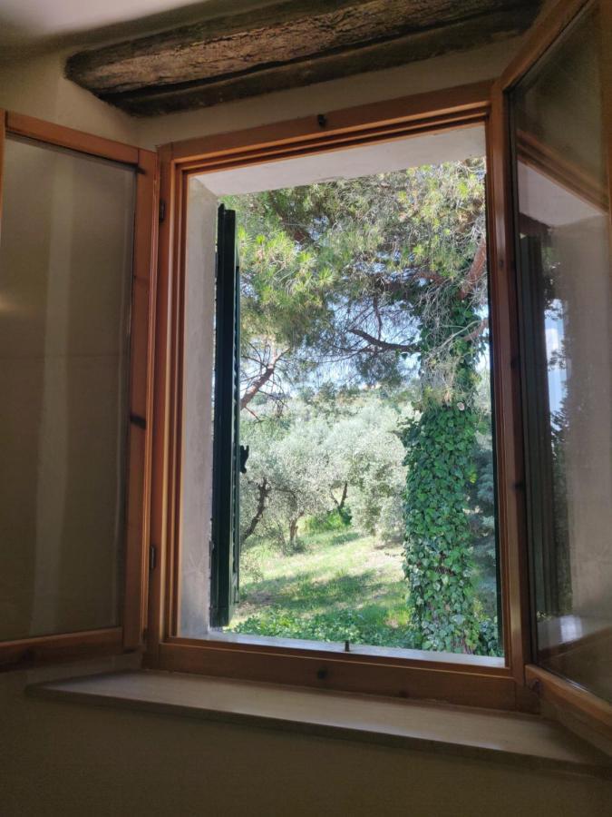 Il Rusticano Chianni Kültér fotó